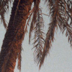 west-palm-beach